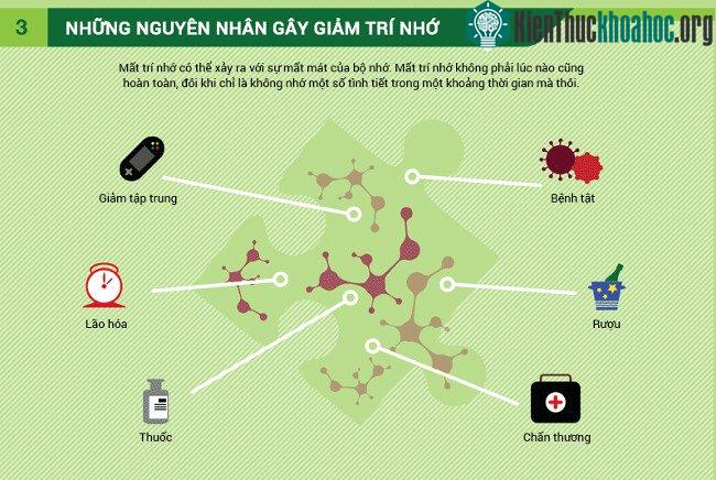 Nguyên nhân gây giảm trí nhớ