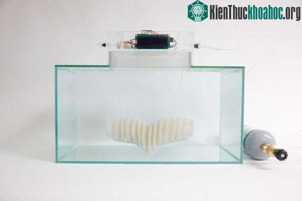 Kamei đã xây dựng thành công nguyên mẫu đầu tiên của Amphibio