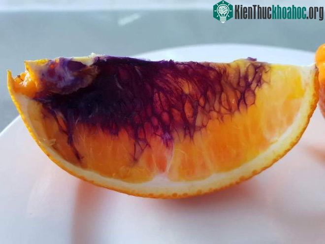 Một số người cho rằng sự biến màu này có thể do các hóa chất có sẵn trong ngôi nhà gây ra.