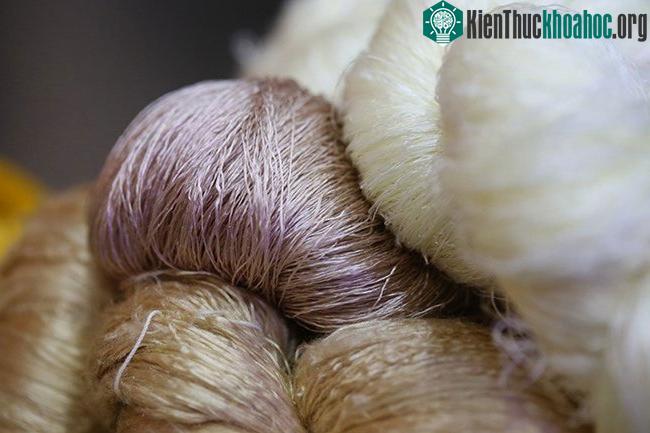 Loại tơ này tương thích với da người.
