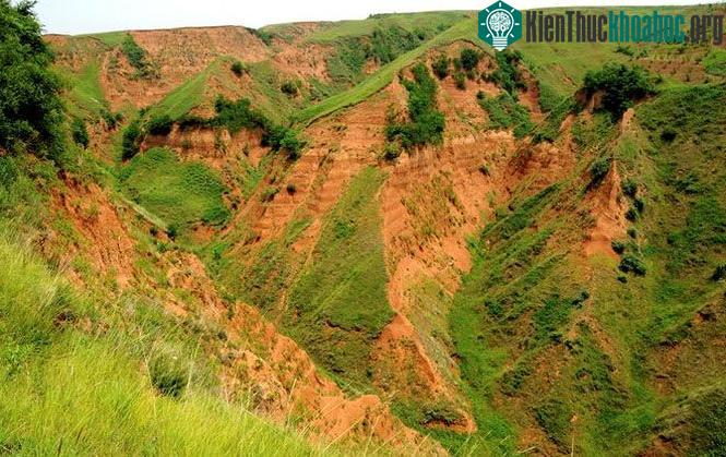Các nhà khoa học đã khai quật ra các công cụ tại một địa điểm ở cao nguyên Loess, Trung Quốc.