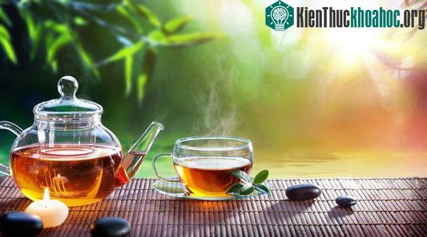 Khi trời nóng, nước ấm giúp cơ thể giữ nước lâu hơn, ít khát và không cần nhiều nước