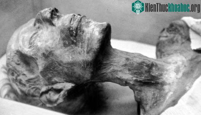 Ảnh chụp cận cảnh xác ước Pharaon Ramesses II.