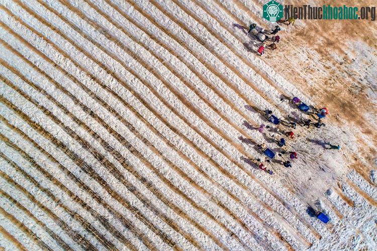 Cảnh sắc Việt Nam đẹp kỳ vĩ nhìn từ trên cao ảnh 20