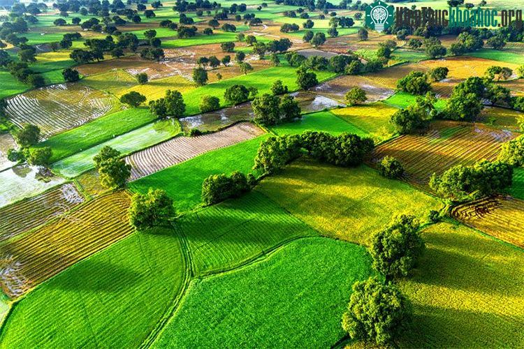 Cảnh sắc Việt Nam đẹp kỳ vĩ nhìn từ trên cao ảnh 25