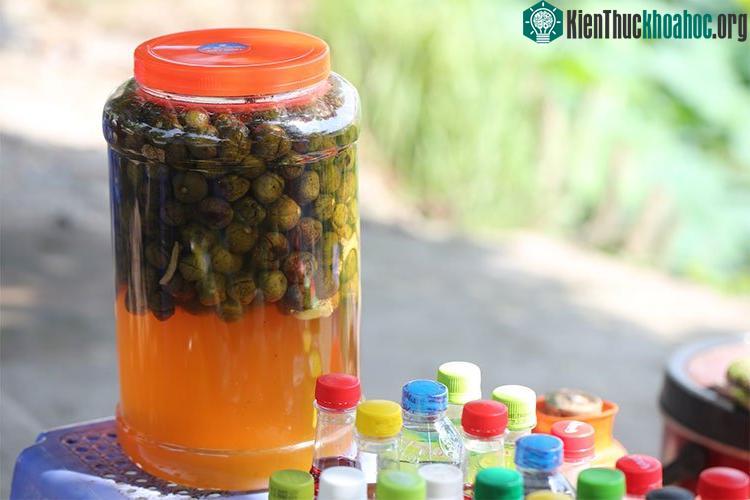 Nước sấu ngâm
