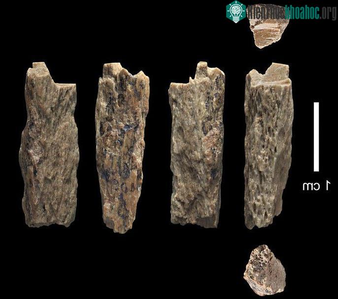 Một số mảnh xương được khai quật