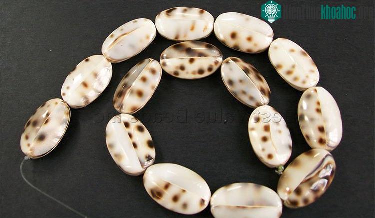 Các loại hạt trang sức có thể tồn tại qua nhiều thế hệ.