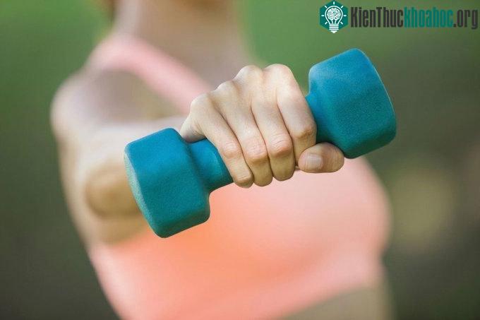 Sức bám chặt của tay cho thấy tình trạng sức khỏe tim mạch.
