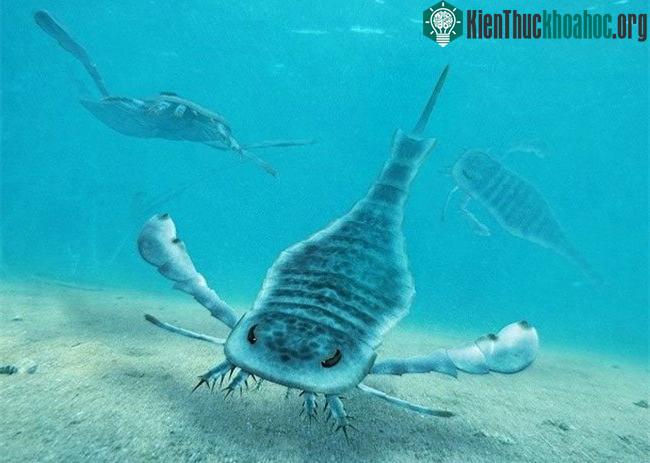 Eurypterid