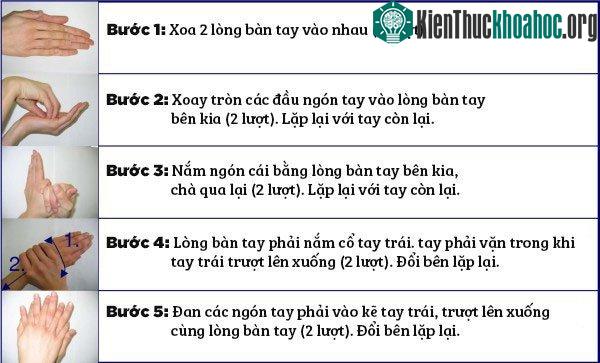 Kỹ thuật rửa tay gồm 5 bước cho hiệu quả cao.