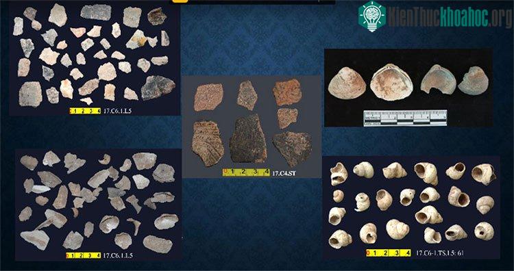 Hàng chục nghìn mẫu vật được tìm thấy trong hố thăm dò rộng 6m2, sâu 1,85m, gồm 8 lớp đất.