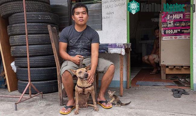 Từ khi đẻ ra, chú chó Putol đã khuyết tật, không có hai chân sau.