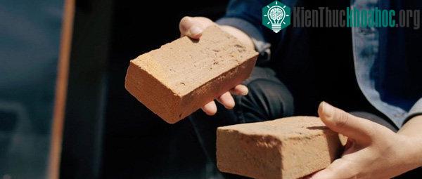 Ellie trăn trở về tính bản địa và những ngành sản xuất truyền thống dần bị mai một bởi tác động từ xu hướng đô thị hóa ngày một gia tăng.