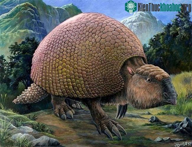 Glyptodon