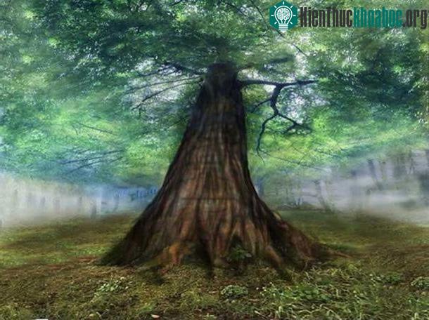 Ngôi nhà của các vị thần Vanir - Vanaheimr tượng trưng cho thế giới của nước