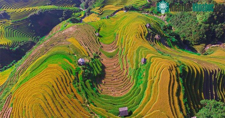 Đôi chỗ trên các sườn đồi, một vài thửa ruộng còn đan xen giữa sắc vàng, sắc xanh là màu nâu của những thửa ruộng đã thu hoạch.
