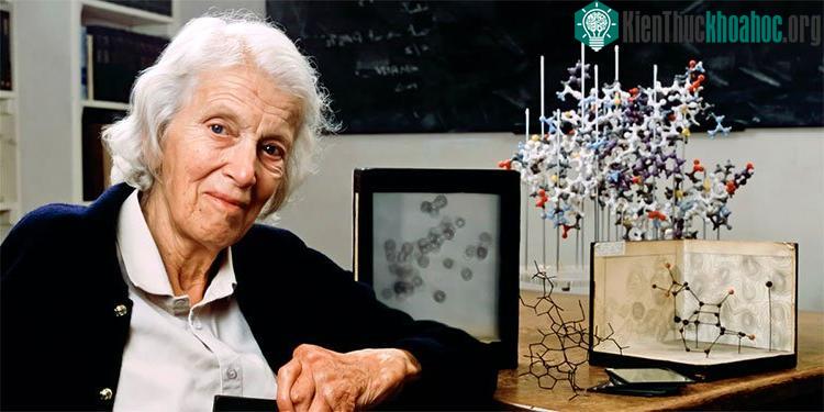 Nhà khoa học nữ người Anh Dorothy Crowfoot Hodgkin.
