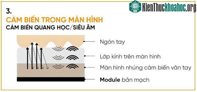 Các cảm biến vân tay trong màn hình sẽ bao phủ hầu hết hoặc toàn bộ màn hình