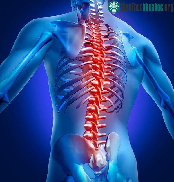 Hạn chế tổn thương cột sống và chân