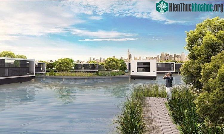 Trong nhà có hệ thống tự động thu thập, lưu trữ và tinh lọc nước mưa.