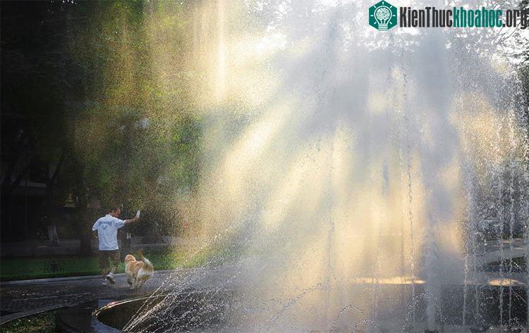Những khoảnh khắc mùa thu Hà Nội đẹp nao lòng ảnh 5