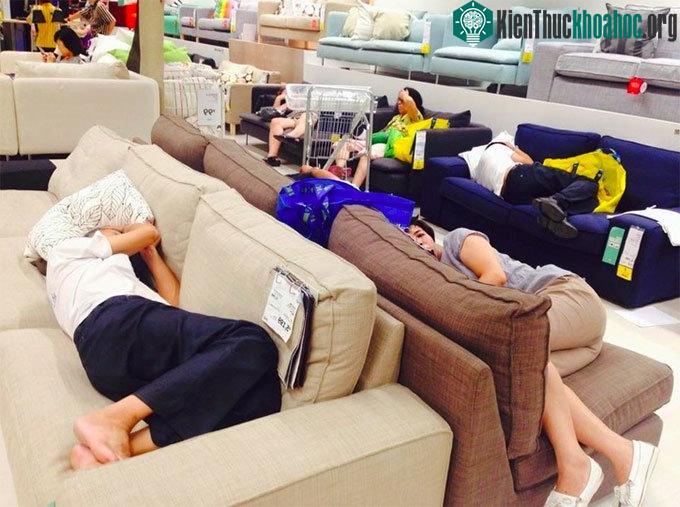 Bên trong một cửa hàng nội thất