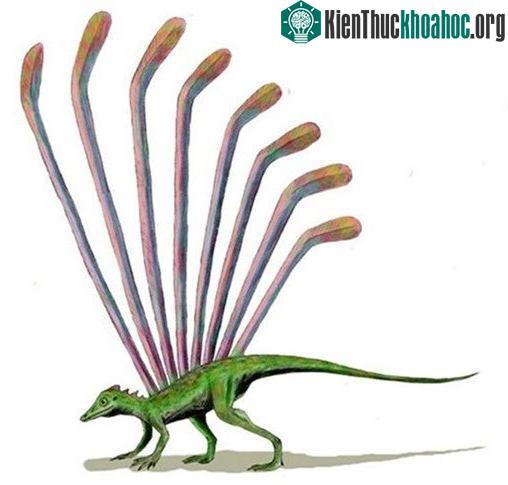 Longisquama