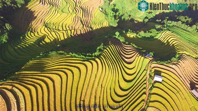 Đồi móng ngựa Sáng Nhùn là điểm chụp ảnh "huyền thoại" của các nhiếp ảnh gia.
