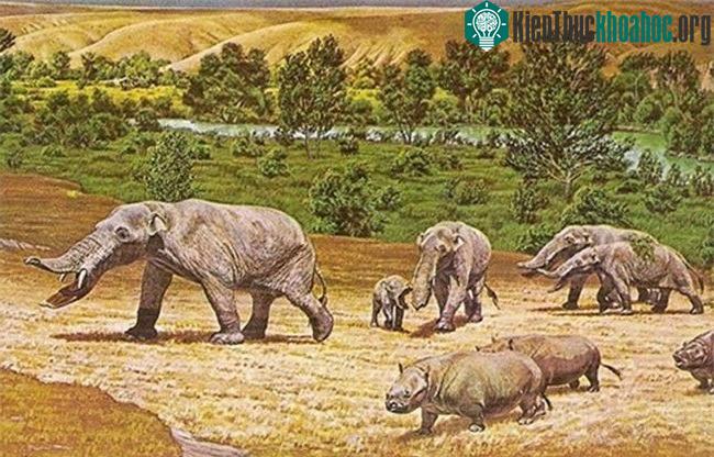 Platybelodon