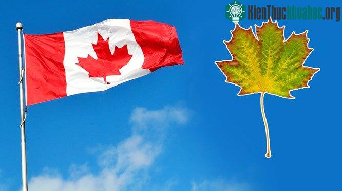 Quốc kỳ Canada