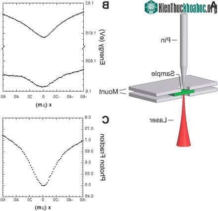 Các nhà vật lý khẳng định sự tồn tại của trạng thái ngưng tụ polariton ảnh 1