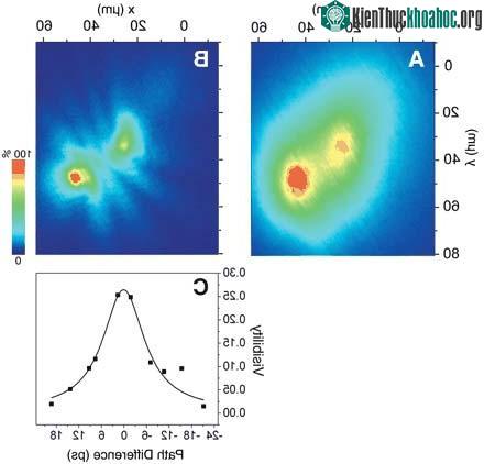 Các nhà vật lý khẳng định sự tồn tại của trạng thái ngưng tụ polariton ảnh 2