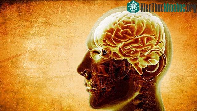 Thuốc ALI6 điều trị Alzheimer đặc biệt không độc hại cho con người.