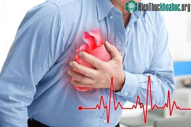 Bệnh tim mạch là nguyên nhân gây tử vong hàng đầu ở những nước phát triển.