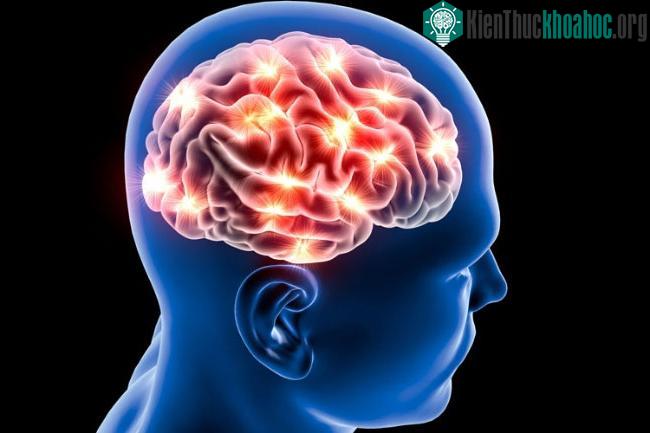 Vắc xin S100A9 có hiệu quả tương tự như thuốc chống đông máu, nhưng có tác dụng lâu dài.