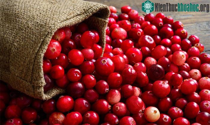 Nước chanh là một trong những đồ uống giúp giải độc thận rất tốt.