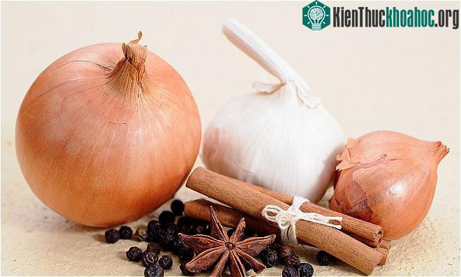 Quế, tỏi và hành tây tốt cho hệ miễn dịch. (Ảnh: T.T).