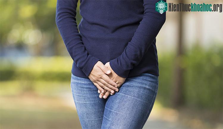 Trời lạnh, chúng ta có xu hướng đi tiểu nhiều hơn.