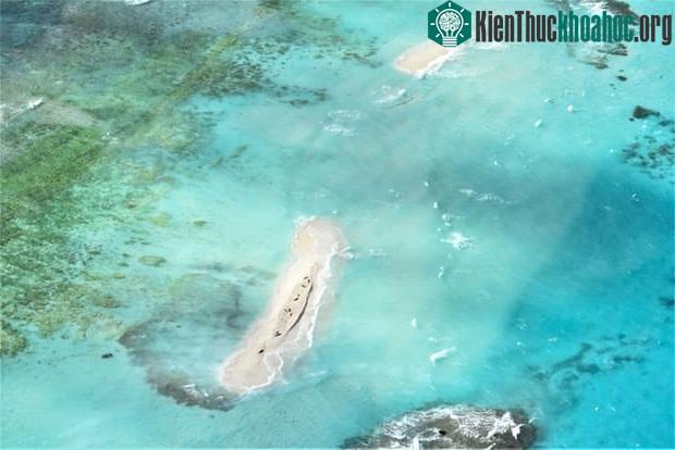 Kinh ngạc, một hòn đảo Hawaii bị siêu bão Walaka xối sạch ảnh 1