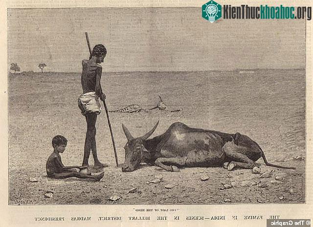 Hiện tượng El Nino ngày càng cực đoan hơn.