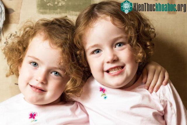 Cả ADN và các trải nghiệm trong cuộc sống làm cho chúng ta có chiều cao của mình.
