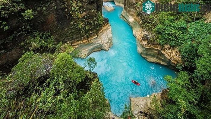 Papua New Guinea hàng năm thu lợi nhuận đáng kể từ việc xuất khẩu mẫu vật bướm. (Ảnh: T.L).