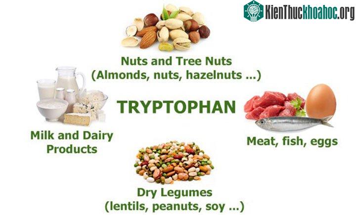 Muốn có giấc ngủ ngon, nên ăn thực phẩm nào? ảnh 2