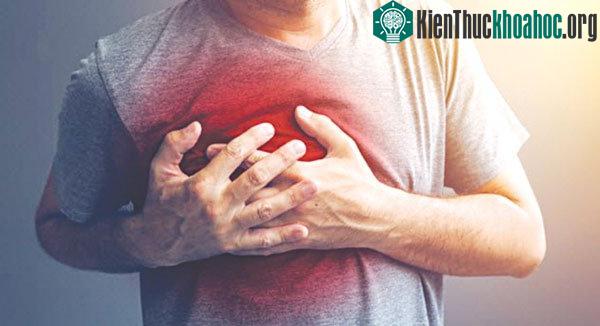 Sử dụng tế bào gốc chữa bệnh tim được xem là hướng đi đầy triển vọng.