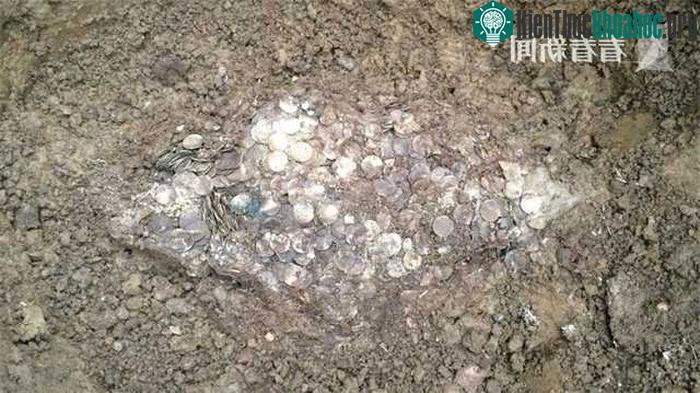 Do được bảo quản tốt nên mỗi đồng xu có giá trị lên tới 7,7 triệu đồng.