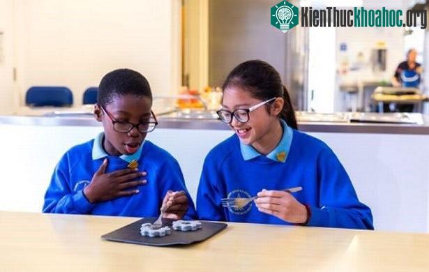 Các nhà khoa học hi vọng các bữa ăn sẽ truyền cảm hứng cho trẻ em theo đuổi các môn học STEM