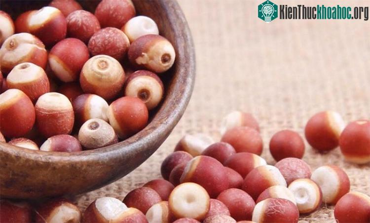 Chạch được xem là một thực phẩm có tác dụng bổ sung canxi đứng ở vị trí quán quân.