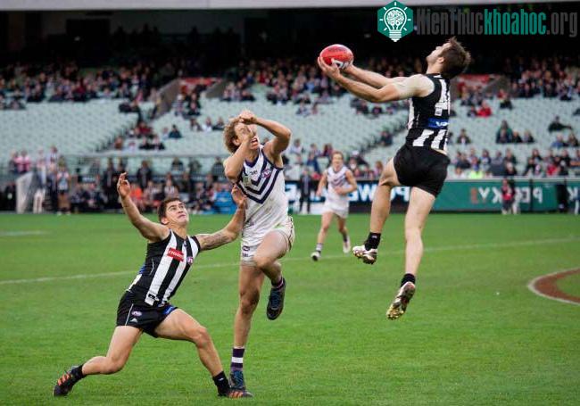 AFL