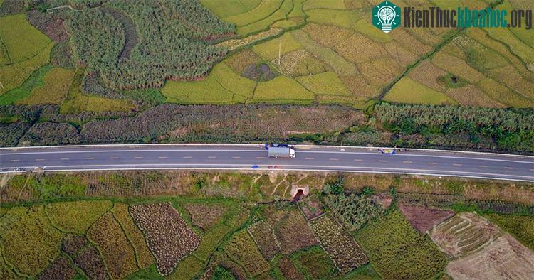 Tháng 10, đang là thời điểm các cánh đồng ở miền Bắc bước vào mùa thu hoạch.